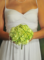 Hydrangea Kisses Davenport Florist - Same Day Flower Delivery - Flower Power 